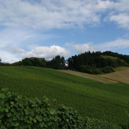 Ferienapartment Oberkirch Oberkirch  Buitenkant foto