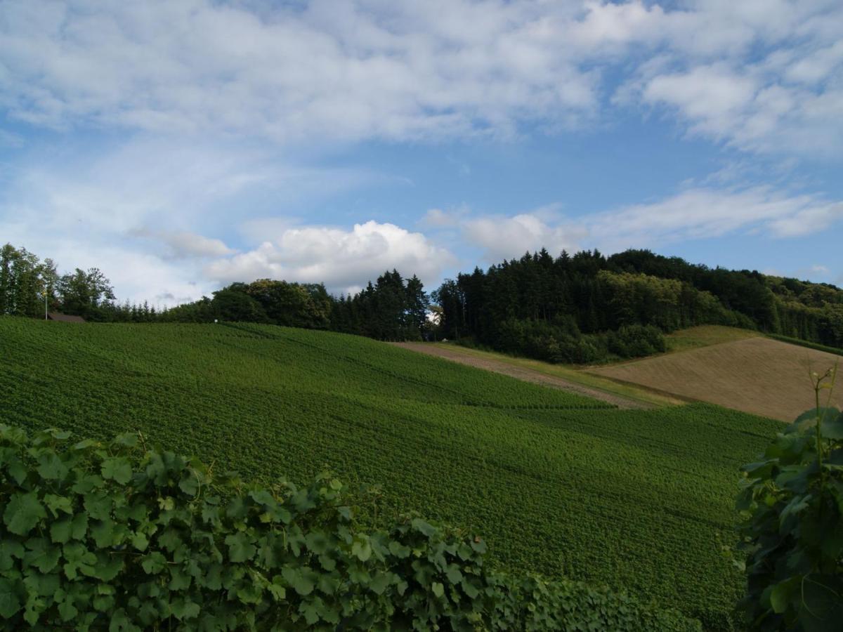 Ferienapartment Oberkirch Oberkirch  Buitenkant foto